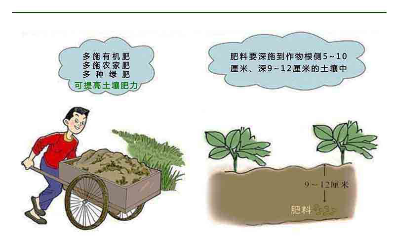 測(cè)土配方施肥宣傳畫
