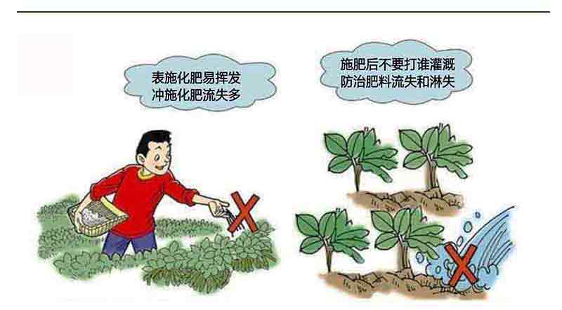 測(cè)土配方施肥宣傳畫